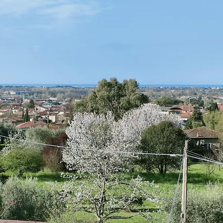 Casa Bianca Semesterbostad